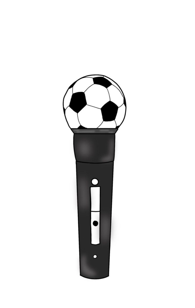 Why Football Commentary Should Be Considered Literature